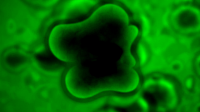 File:BB (402).png