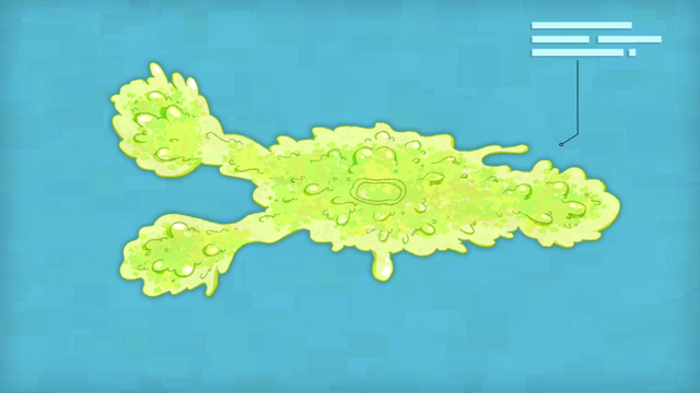 File:SoY (200).png