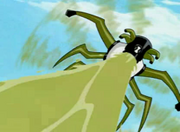 Insecto 2.png