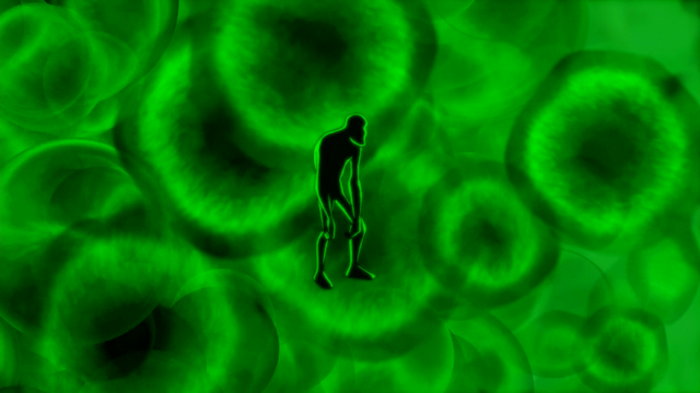 File:IAEF (146).png