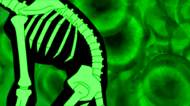 File:BoaF (44).png