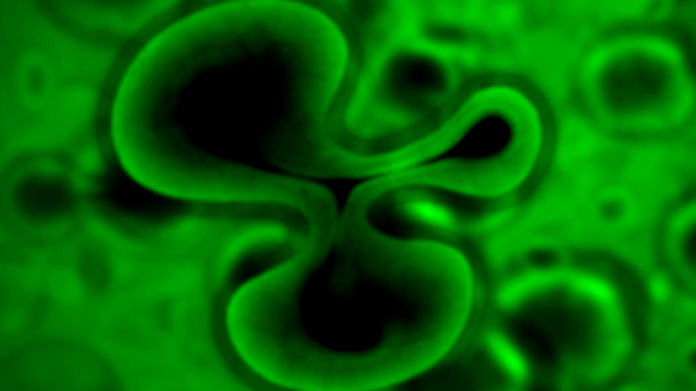 File:KBS (80).png