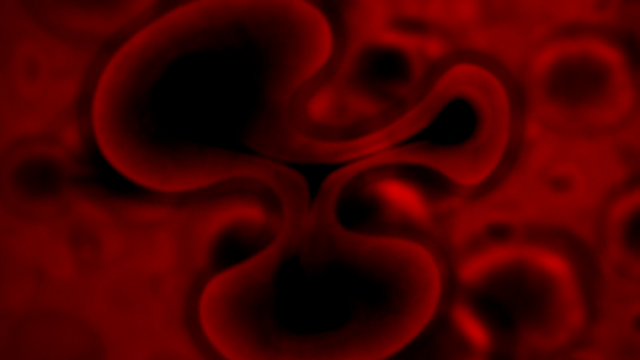 File:TFB1 (315).png