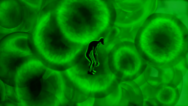 File:IAEF (147).png