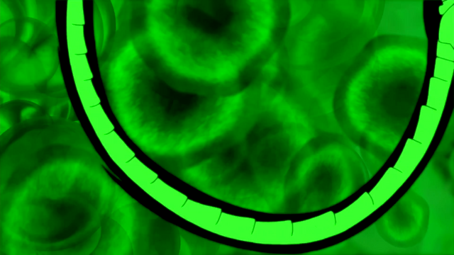 File:IAEF (149).png