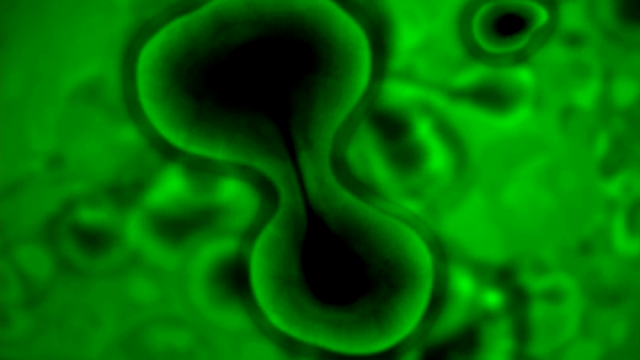 File:TFB1 (152).png