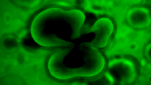 File:VoV2 (288).png