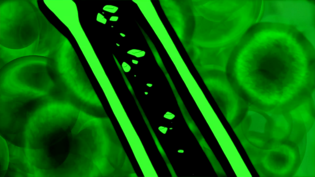 File:IAEF (154).png