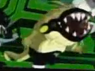 Spitter u