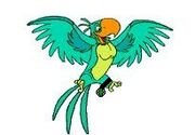 Squawk