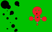 Atom Evolved