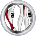 Ficheiro:Badge-category-4.png