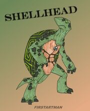 ShellHead.jpg