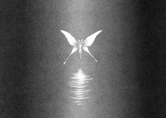 File:RickertButterfly.png