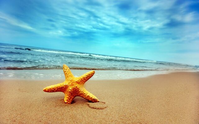 Archivo:Summer-at-lonely-beach-1440x9001.jpg