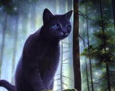 Etoile Bleue