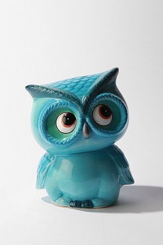 File:Leo the owl.jpg