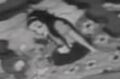 Thumbnail for version as of 13:06, June 10, 2011