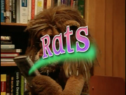 Rats Title