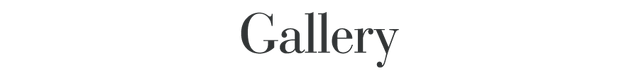File:Beyoncegallery.png