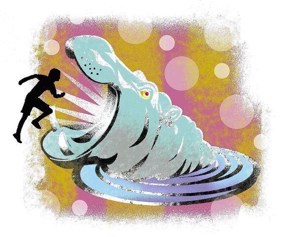 File:Hippo.jpg