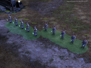 Silverthorn