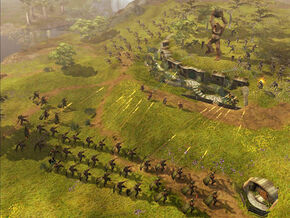 The shire