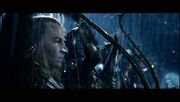 Haldir 1