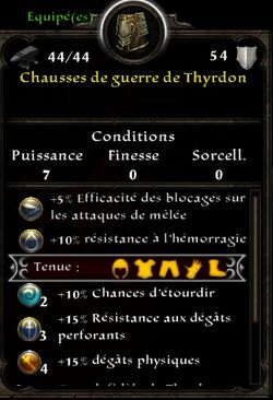 Chausses thyrdon.jpg