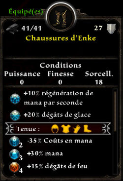 Chaussures d'Enke.jpg