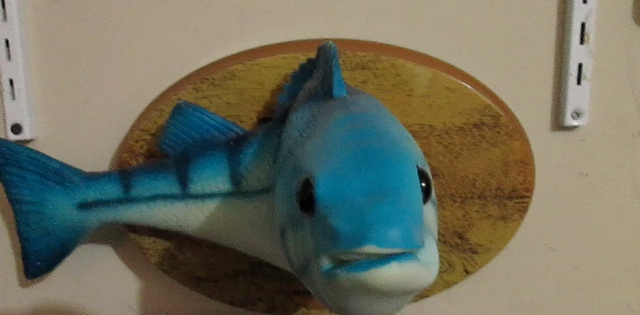 File:Frankie.png