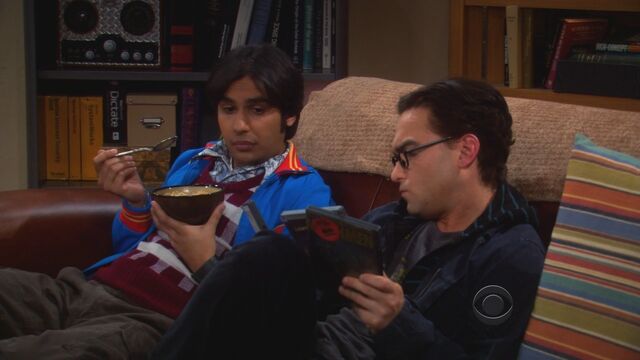 File:The-Big-Bang-Theory-S3-E20-058.jpg