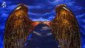 Thumbnail for version as of 18:30, August 12, 2010
