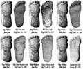 Thumbnail for version as of 21:30, February 20, 2012