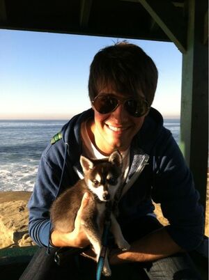 James & Fox