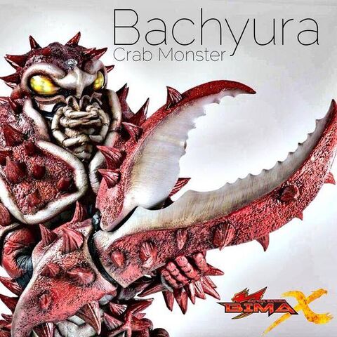 Berkas:Bachyura.jpg