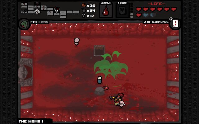 File:ScolexBomb.jpg