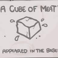 Cube of Meat.jpeg