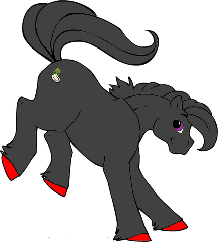 Fichier:Augusto Soursop.png