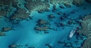 Bing 11.6.2009