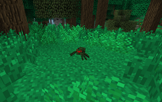 JungleSpider
