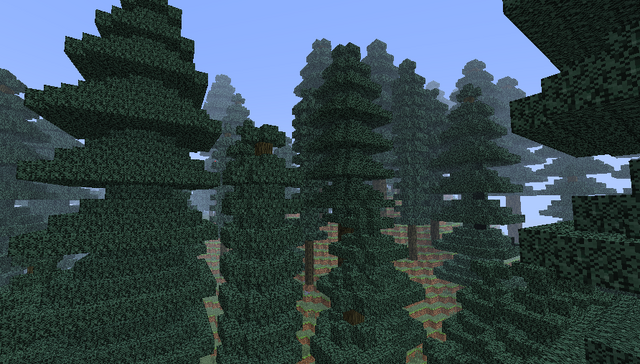 File:Coniferous Forest.png