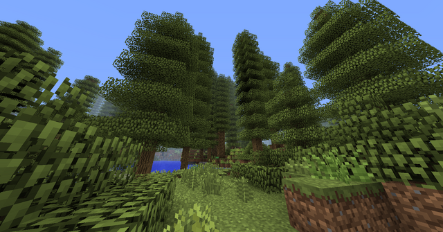 File:TempRainforest01.png