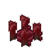 WitherWartMDC
