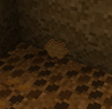 Honeycomb