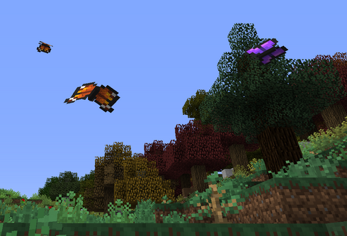 Butterflies