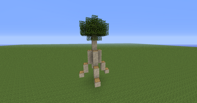 MangroveTree02