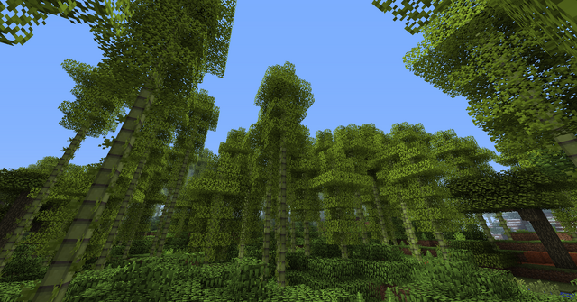 File:BambooForest02.png
