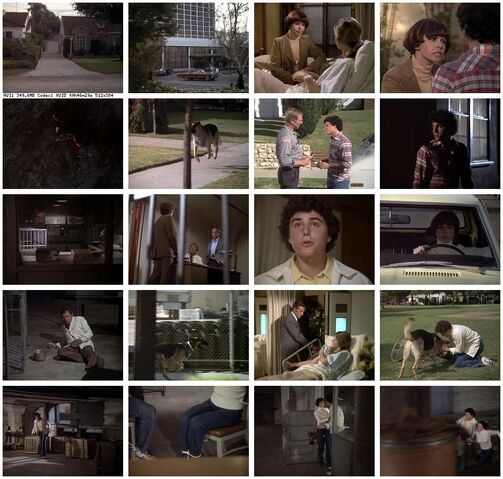 File:Th-The.Bionic.Woman.S03E10.jpg