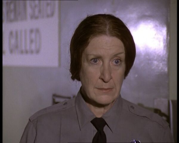 File:Ladyguard4.jpg